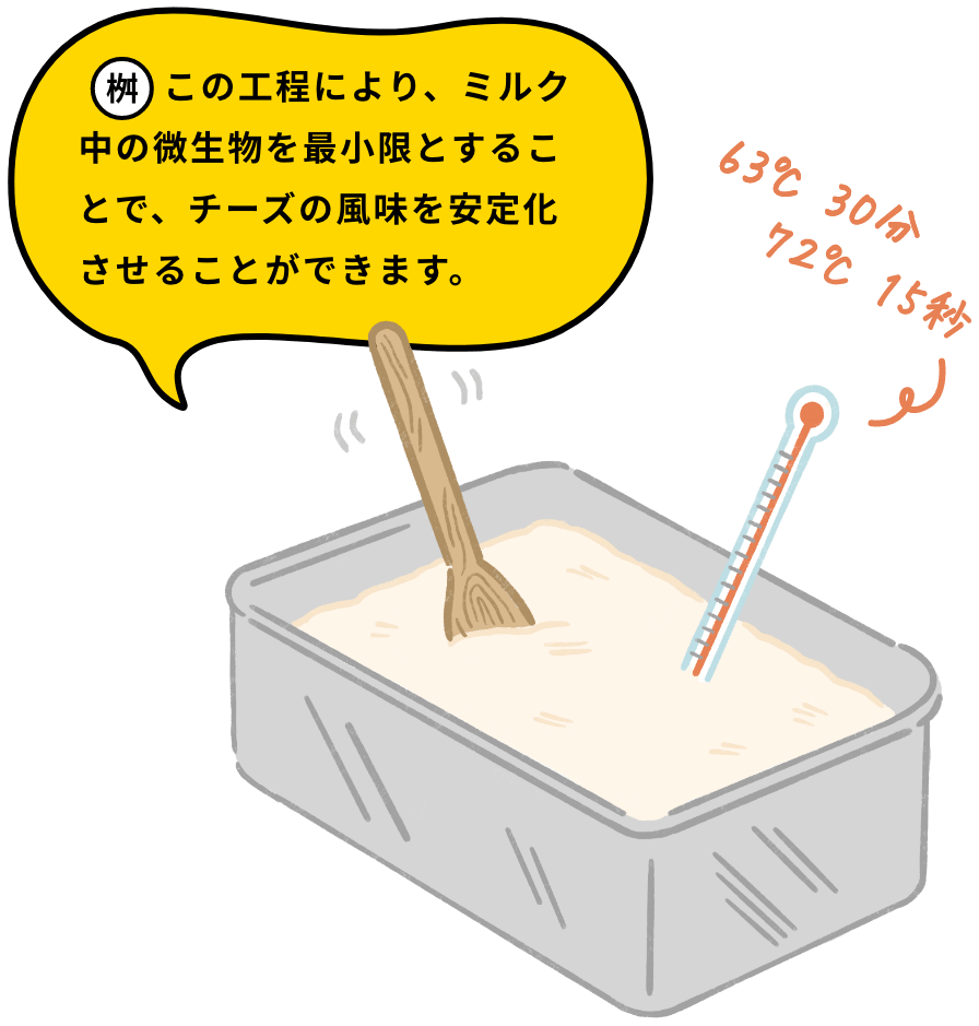 この工程により、ミルク中の微生物を最小限とすることで、チーズの風味を安定化させることができます。