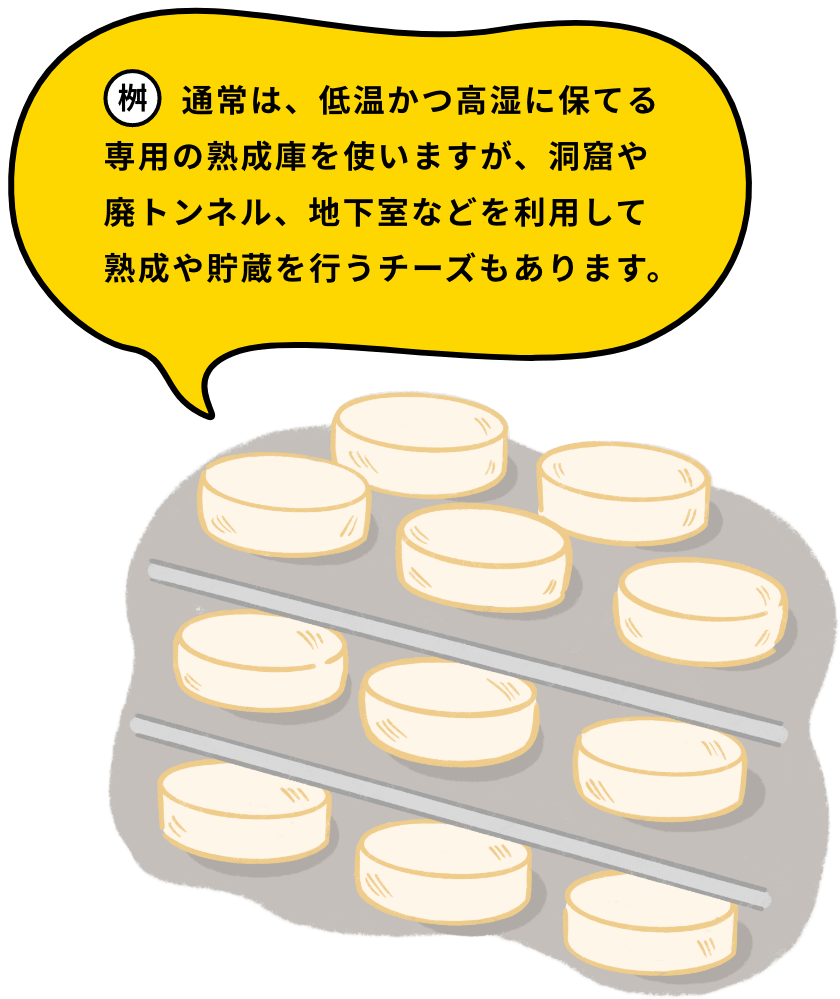 通常は、低温かつ高湿に保てる専用の熟成庫を使いますが、洞窟や廃トンネル、地下室などを利用して熟成や貯蔵を行うチーズもあります。