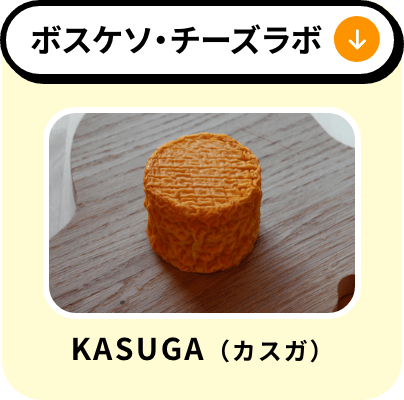 ボスケソ・チーズラボ