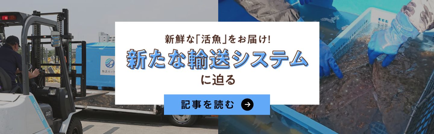 新たな輸送システム
