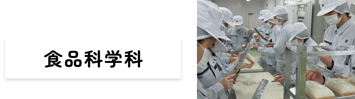 食品科学科