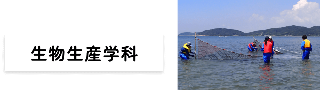 生物生産学科