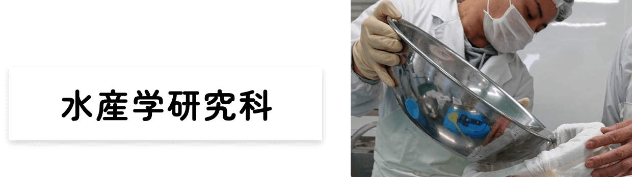 水産学研究科