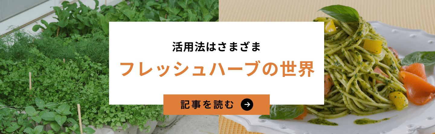 フレッシュハーブの世界