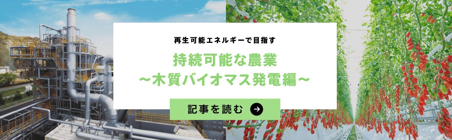 持続可能な能業～木質バイオマス発電編～