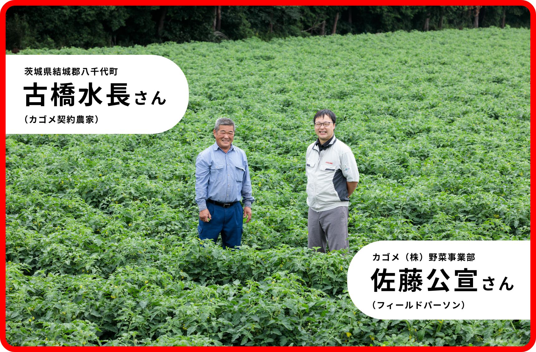 茨城県結城郡八千代町 古橋水長さん（カゴメ契約農家）、カゴメ（株）野菜事業部 佐藤公宣さん（フィールドパーソン）