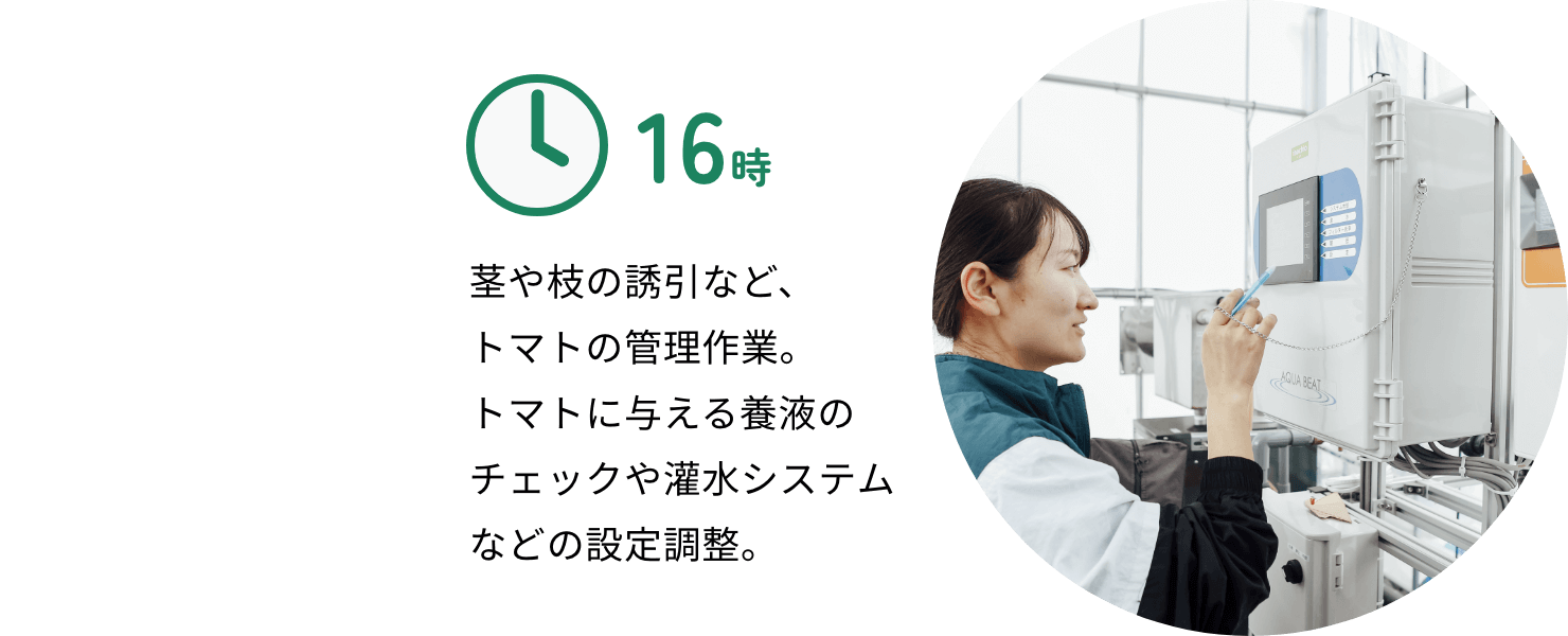 16時：茎や枝の誘引など、トマトの管理作業。トマトに与える養液のチェックや灌水システムなどの設定調整。