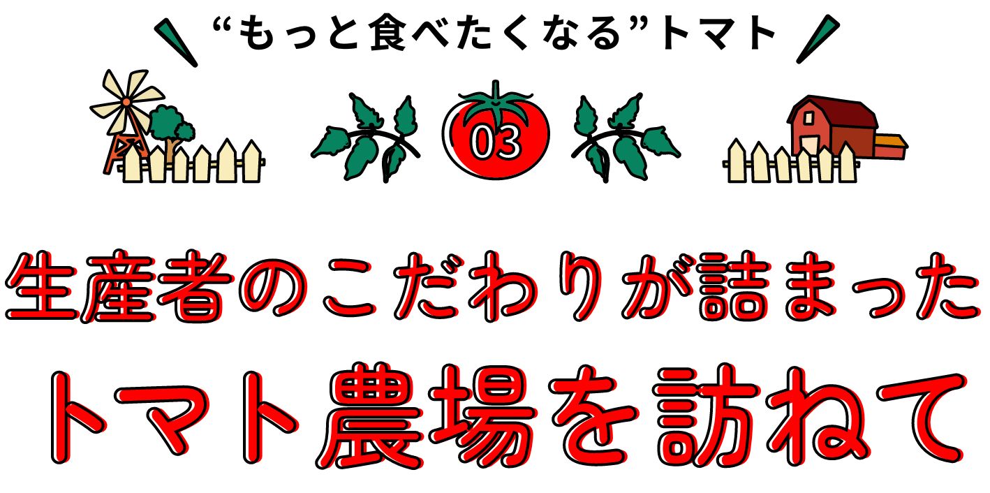 もっと食べたくなるトマト 生産者のこだわりが詰まったトマト農場を訪ねて