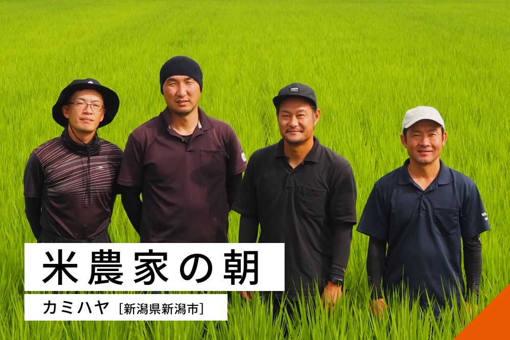 米農家の朝