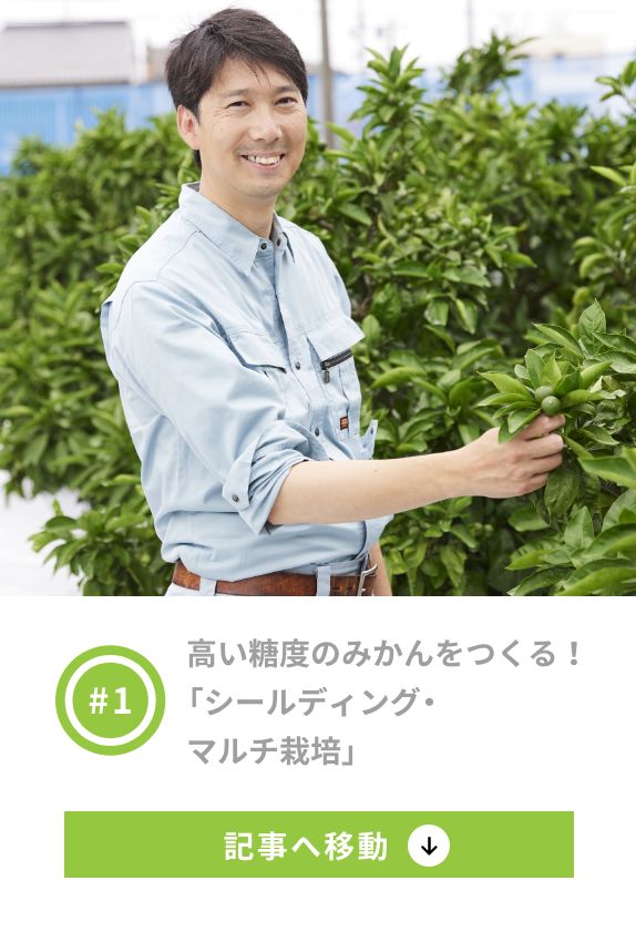 1 高い糖度のみかんをつくる！「シールディング・マルチ栽培」
