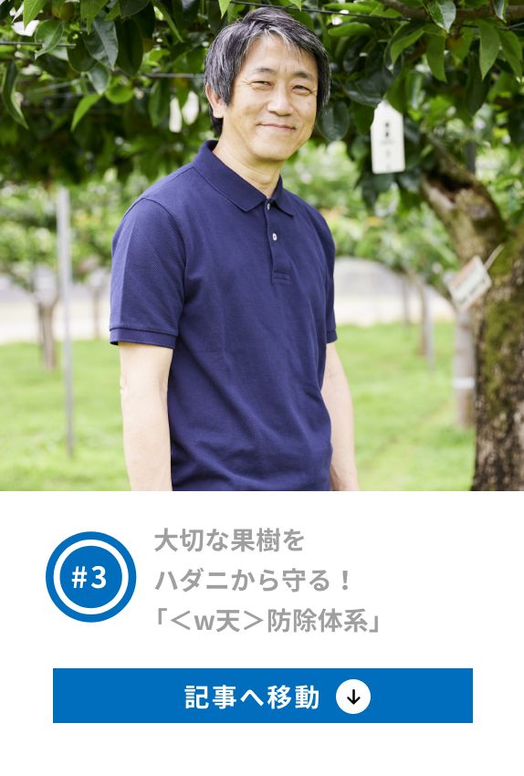 3 大切な果樹をハダニから守る！「＜w天＞防除体系」