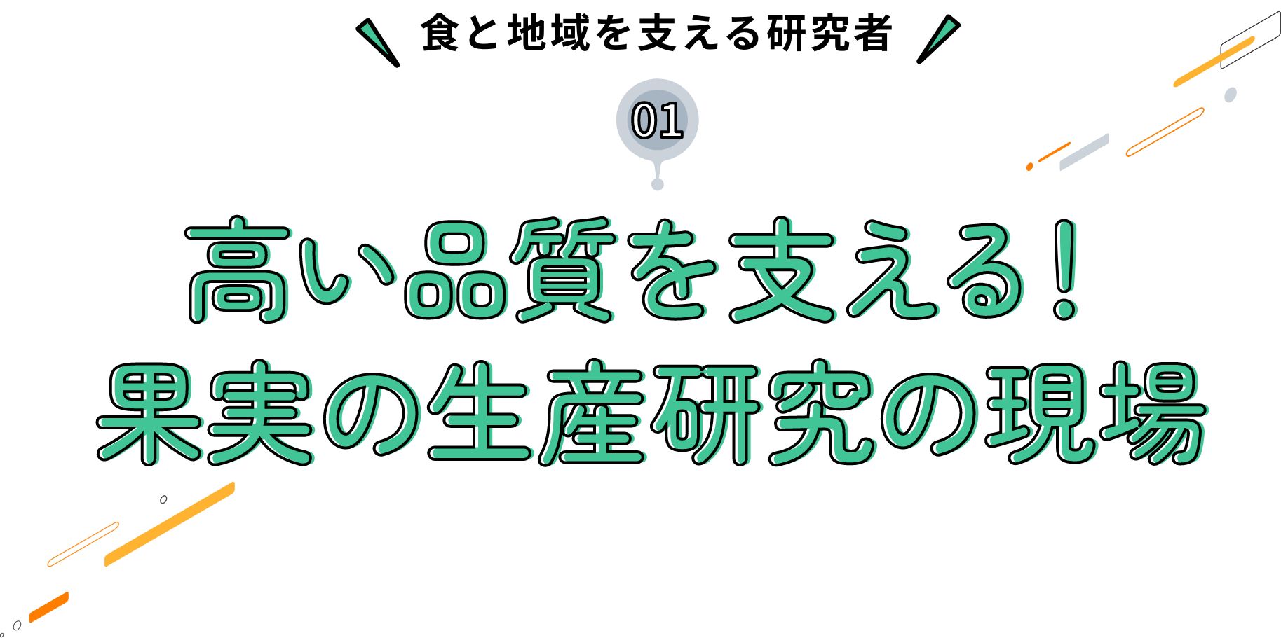 食と地域を支える研究者 高い品質を支える！果実の生産研究の現場