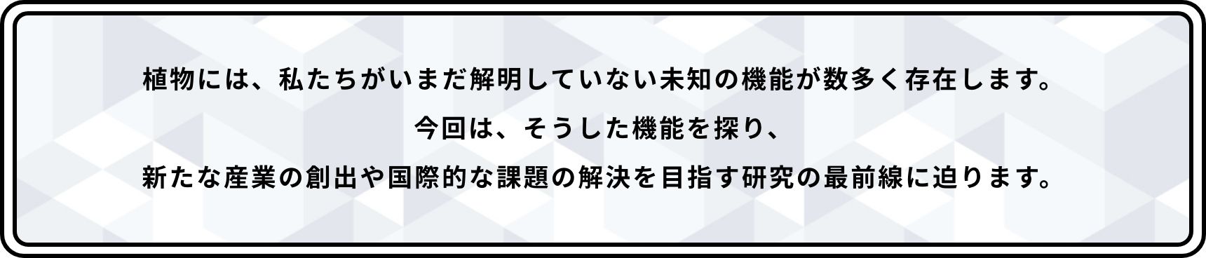 植物には、私たちがいまだ解明していない未知の機能が数多く存在します。今回は、そうした機能を探り、新たな産業の創出や国際的な課題の解決を目指す研究の最前線に迫ります。