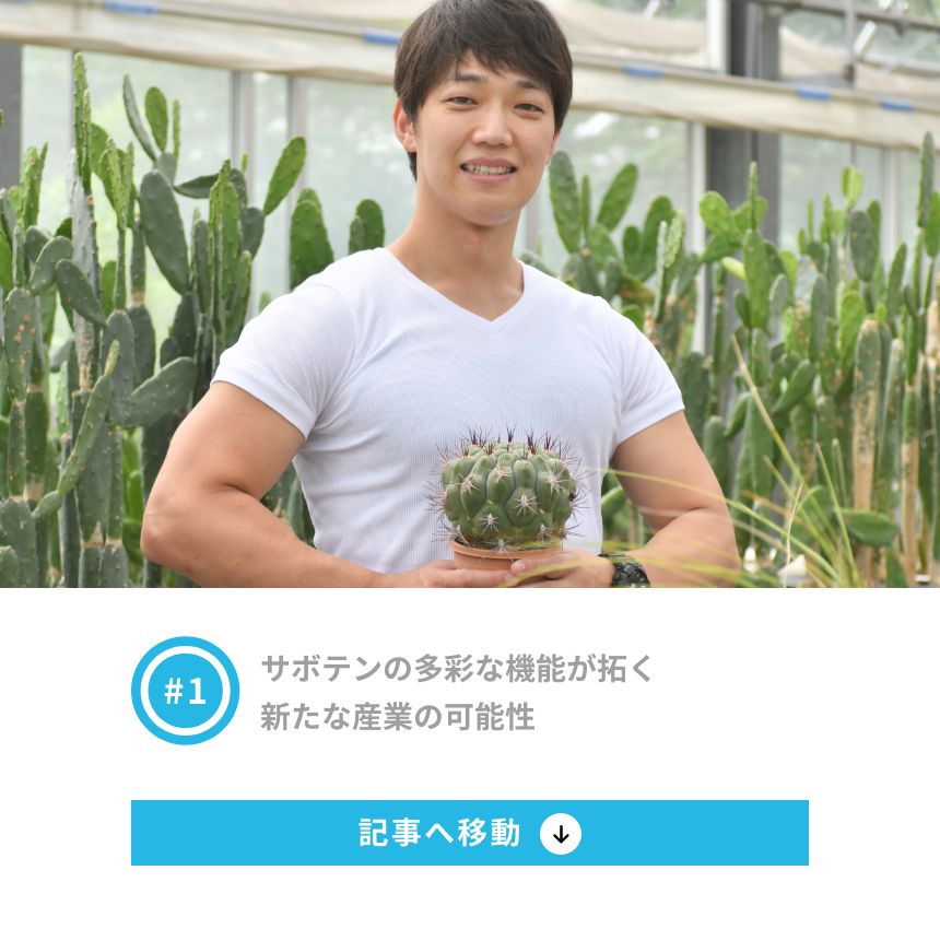 1 サボテンの多彩な機能が拓く新たな産業の可能性