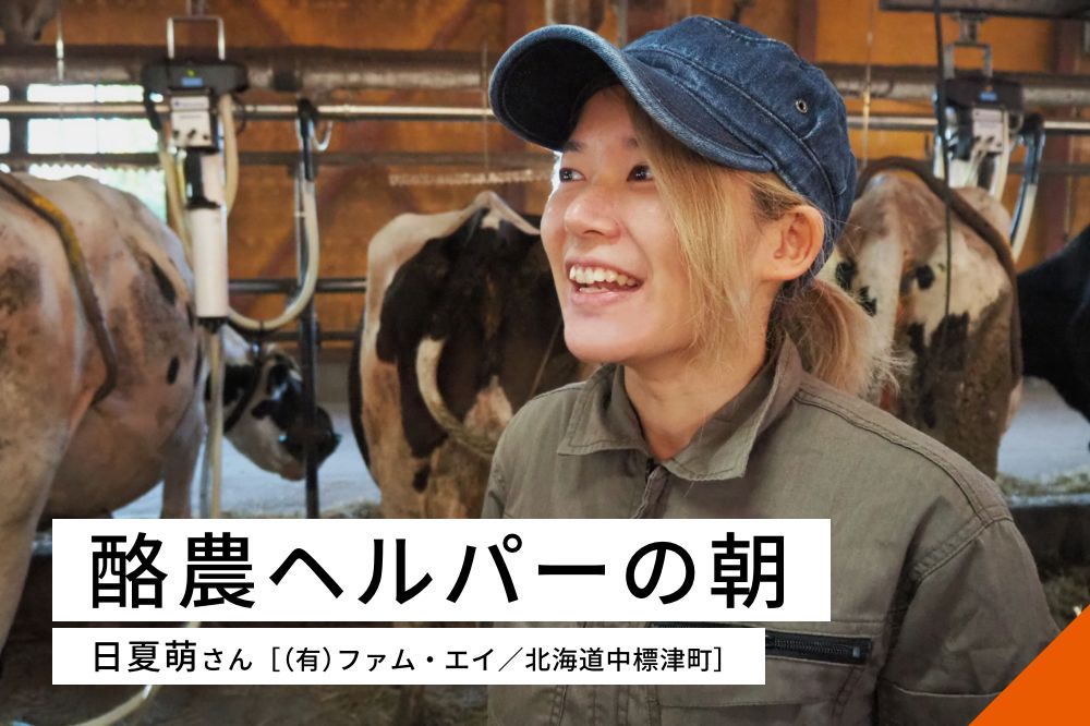 酪農ヘルパーの朝