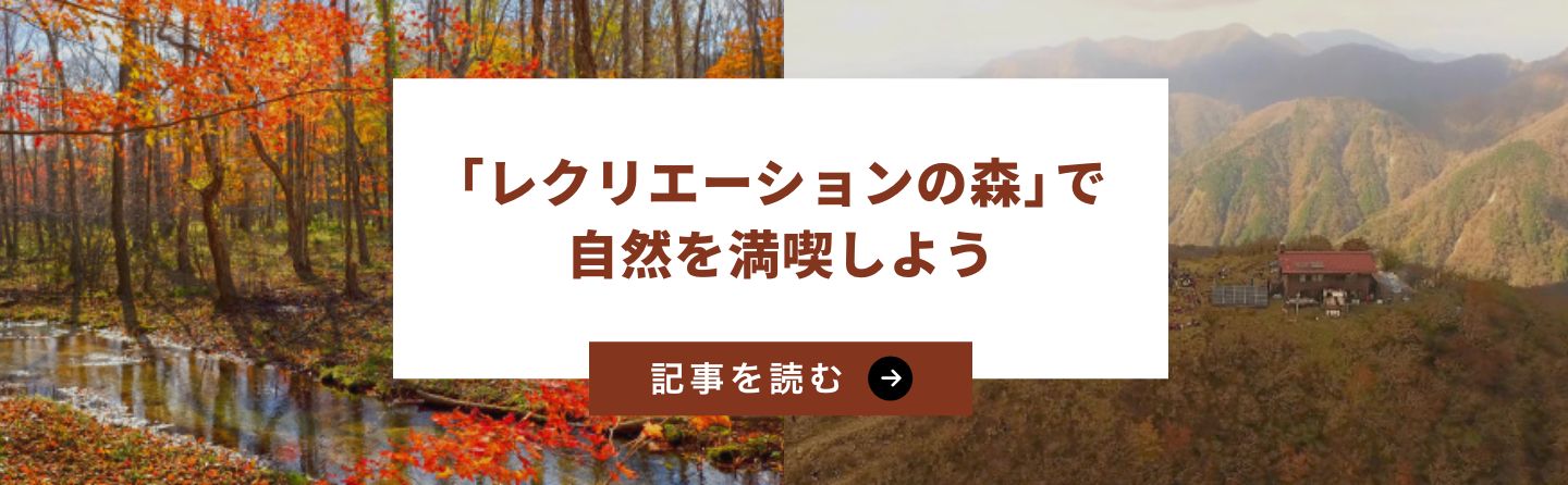 「レクリエーションの森」で自然を満喫しよう