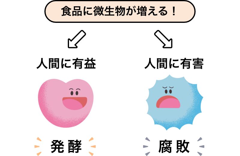 食品に微生物が増える!