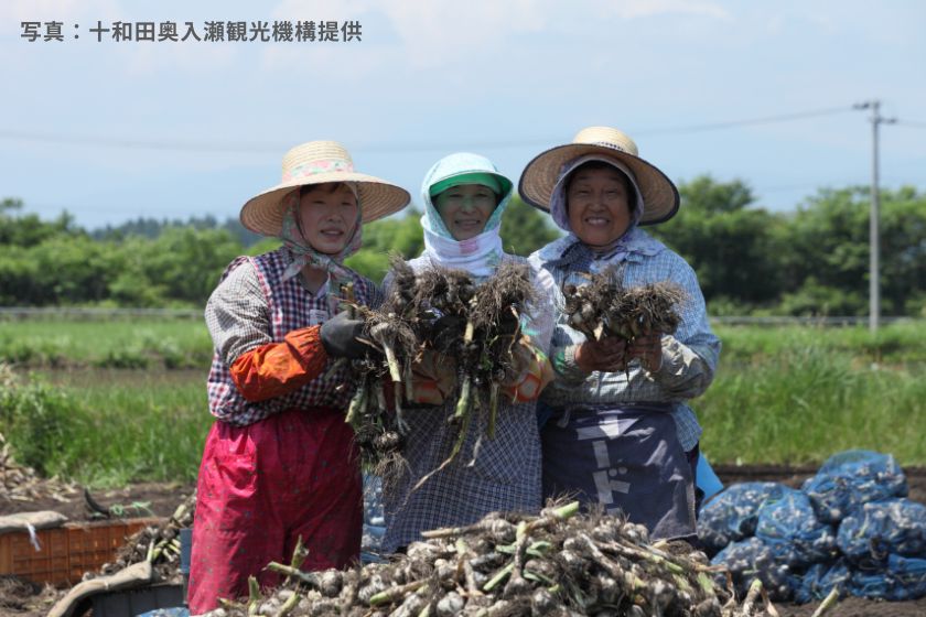 写真：十和田奥入瀬観光機構提供
