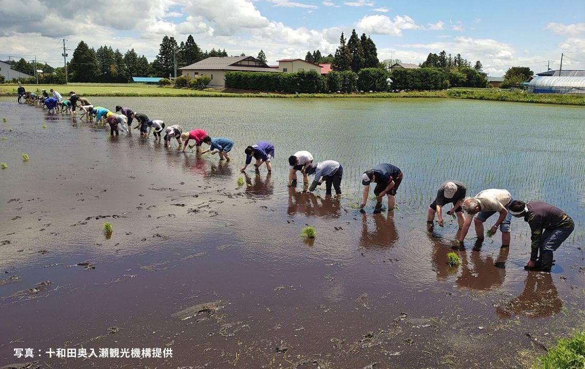 写真：十和田奥入瀬観光機構提供