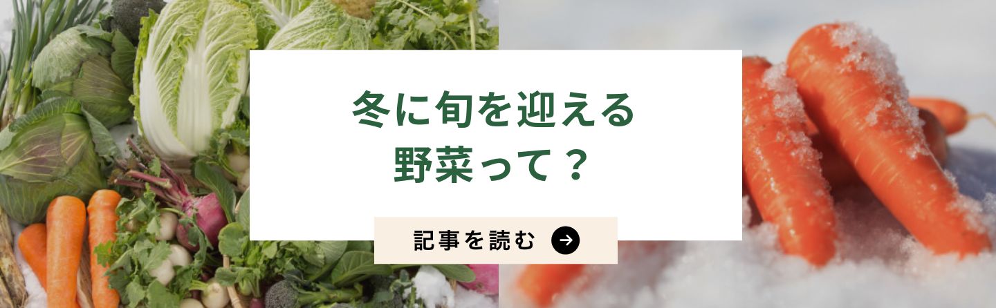 冬に旬を迎える野菜って？