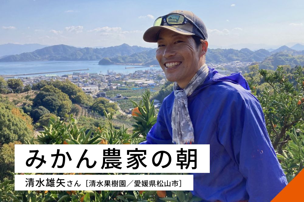 みかん農家の朝