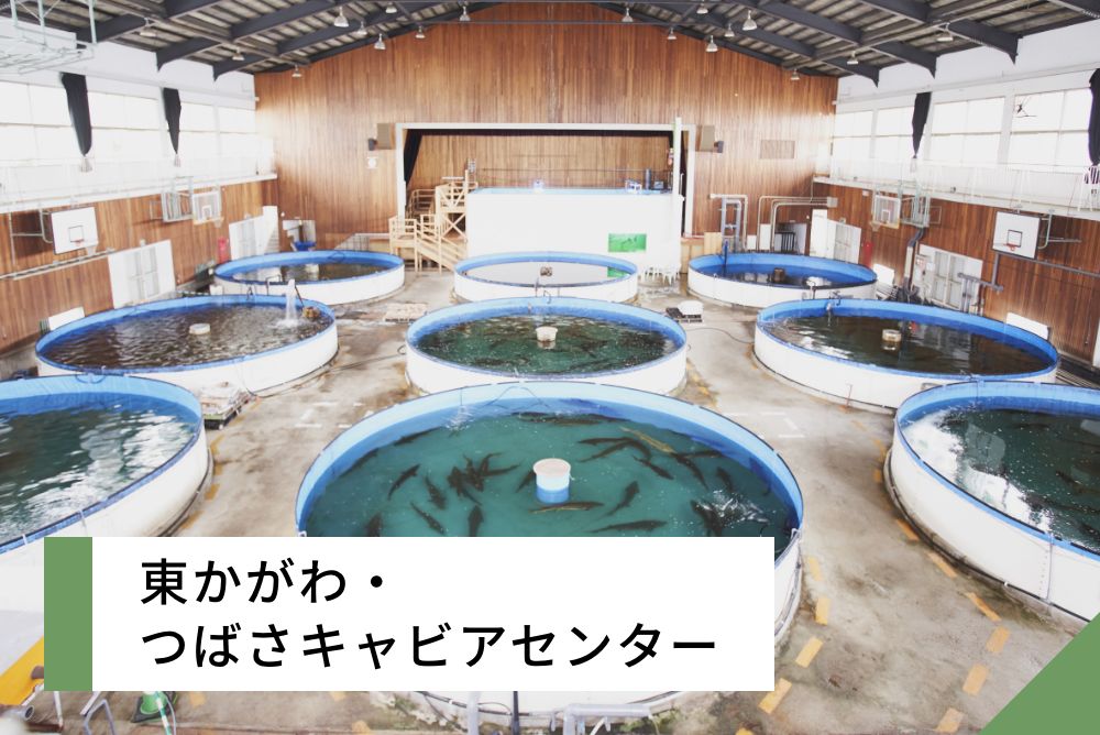 東かがわ・つばさキャビアセンター