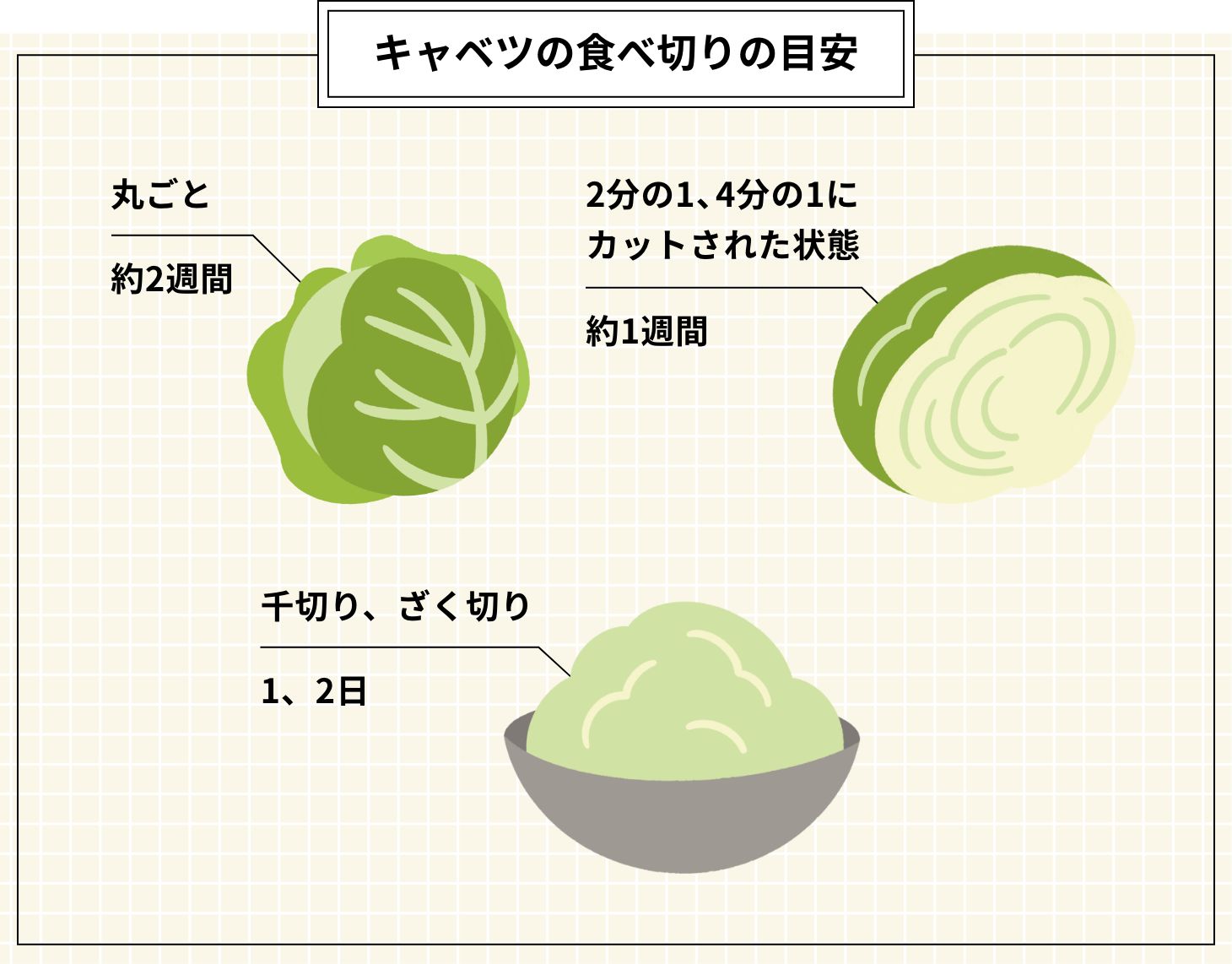 キャベツの食べ切りの目安