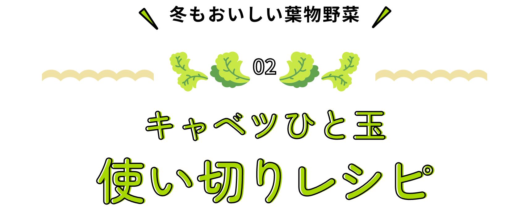 冬もおいしい葉物野菜 キャベツひと玉使い切りレシピ