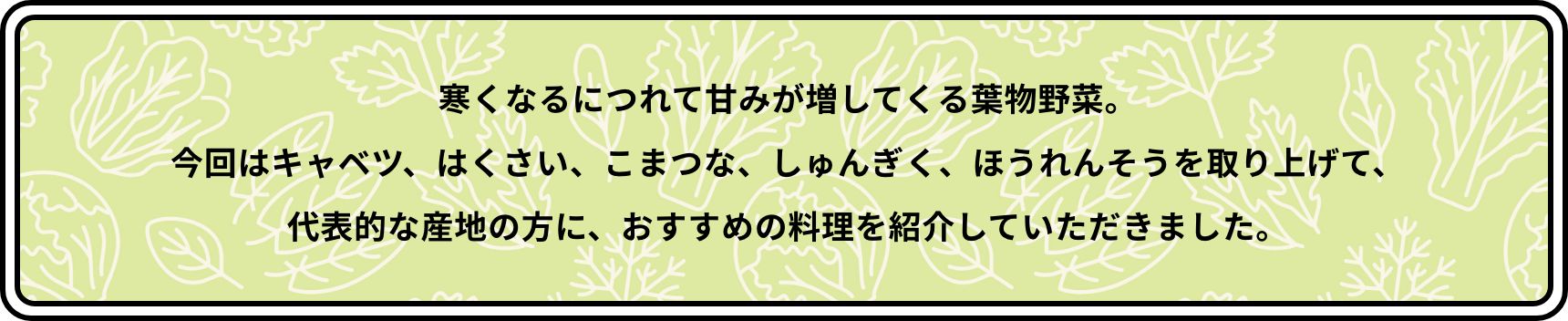 寒くなるにつれて甘みが増してくる葉物野菜。今回はキャベツ、はくさい、こまつな、しゅんぎく、ほうれんそうを取り上げて、代表的な産地の方に、おすすめの料理を紹介していただきました。