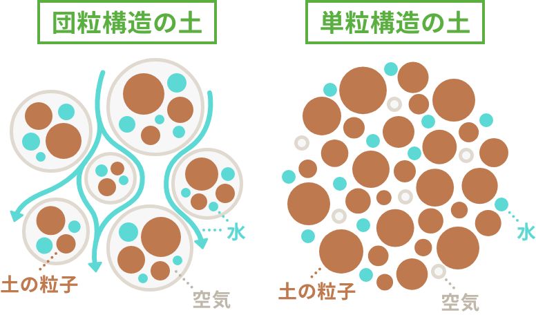 土の粒子の比較