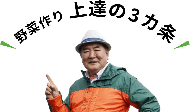 野菜作り上達の3ヵ条