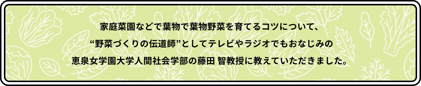 家庭菜園などで葉物で葉物野菜を育てるコツについて、“野菜づくりの伝道師”としてテレビやラジオでもおなじみの恵泉女学園大学人間社会学部の藤田 智教授に教えていただきました。