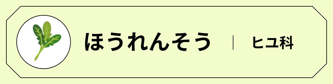 ほうれんそう │ ヒユ科