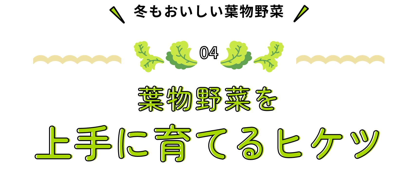 冬もおいしい葉物野菜 葉物野菜を上手に育てるヒケツ