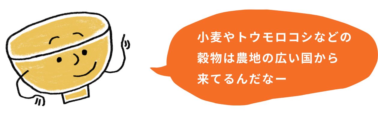 小麦やトウモロコシなどの穀物は農地の広い国から来てるんだなー