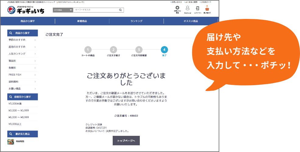 届け先や支払い方法などを入力して・・・ポチッ！