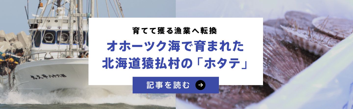 オホーツク海で育まれた北海道猿払村の「ホタテ」