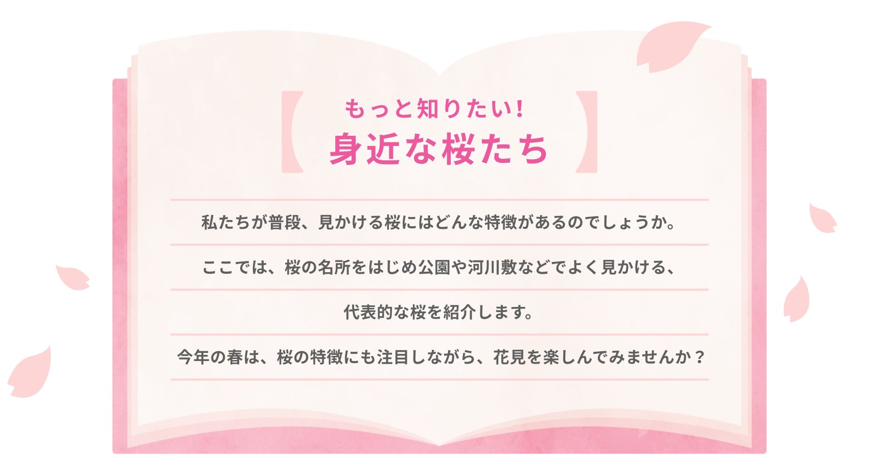もっと知りたい！身近な桜たち 私たちが普段、見かける桜にはどんな特徴があるのでしょうか。ここでは、桜の名所をはじめ公園や河川敷などでよく見かける、代表的な桜を紹介します。今年の春は、桜の特徴にも注目しながら、花見を楽しんでみませんか？