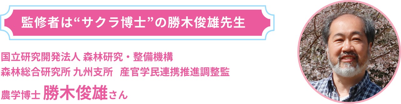 監修者は“サクラ博士”の勝木俊雄先生 国立研究開発法人 森林研究・整備機構   森林総合研究所 九州支所 産官学民連携推進調整監 農学博士 勝木俊雄さん