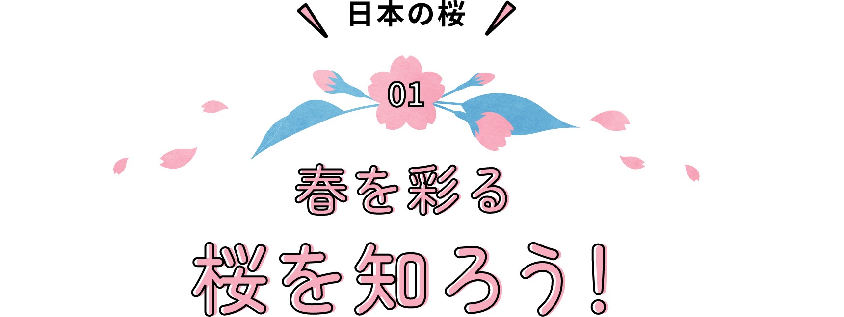 日本の桜 春を彩る桜を知ろう！