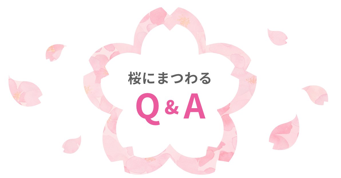 桜にまつわるQ&A