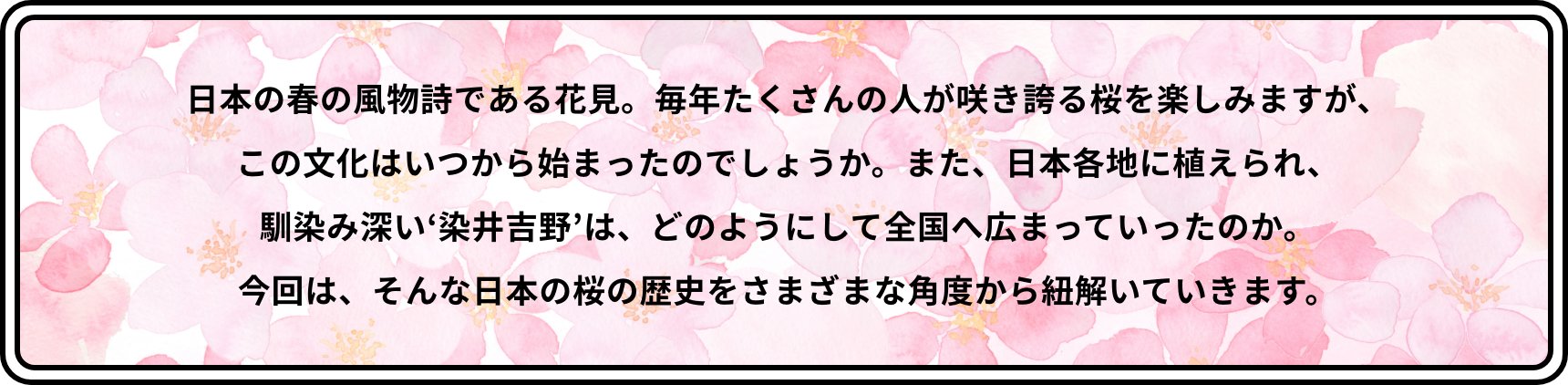 日本の春の風物詩である花見。毎年たくさんの人が咲き誇る桜を楽しみますが、この文化はいつから始まったのでしょうか。また、日本各地に植えられ、馴染み深い‘染井吉野’は、どのようにして全国へ広まっていったのか。今回は、そんな日本の桜の歴史をさまざまな角度から紐解いていきます。
