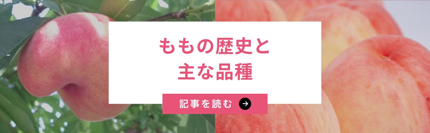 ももの歴史と主な品種