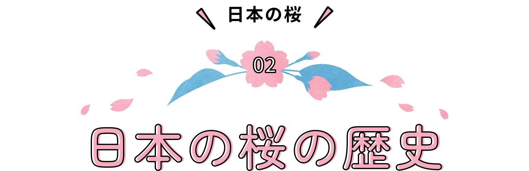 日本の桜 日本の桜の歴史
