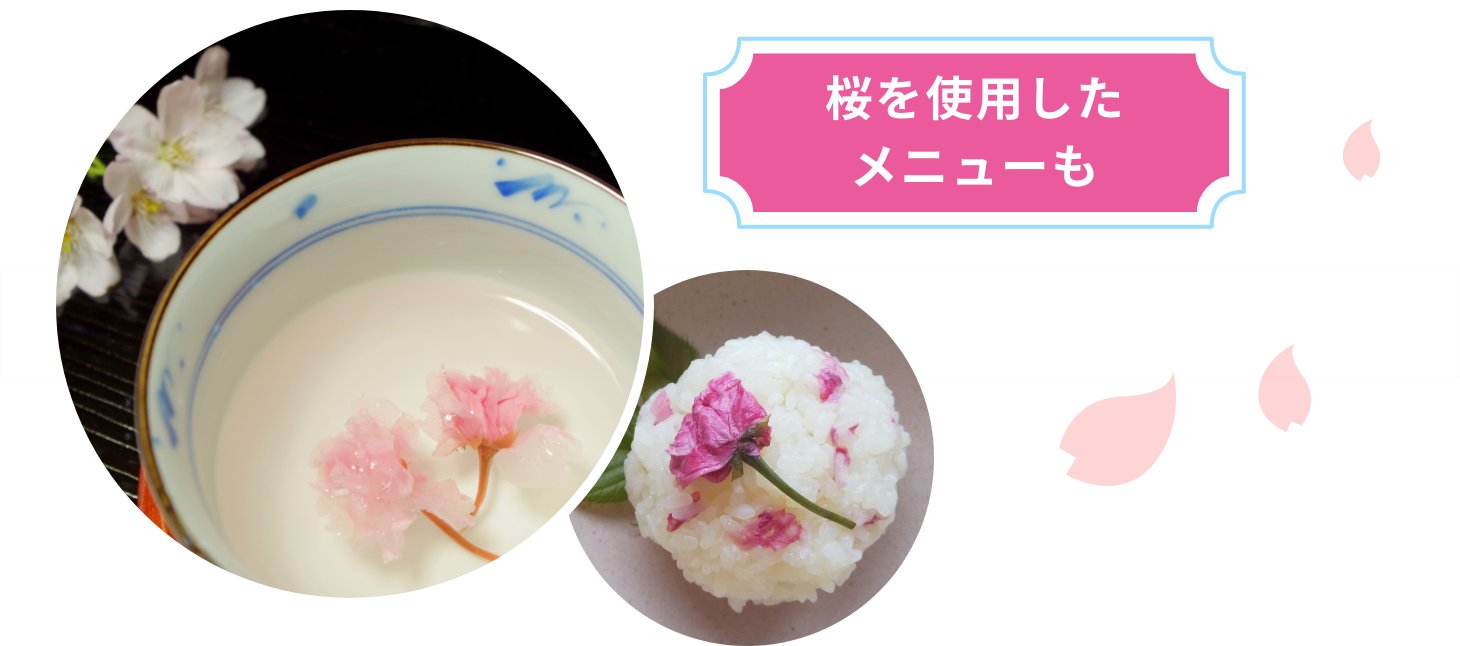 桜を使用したメニューも