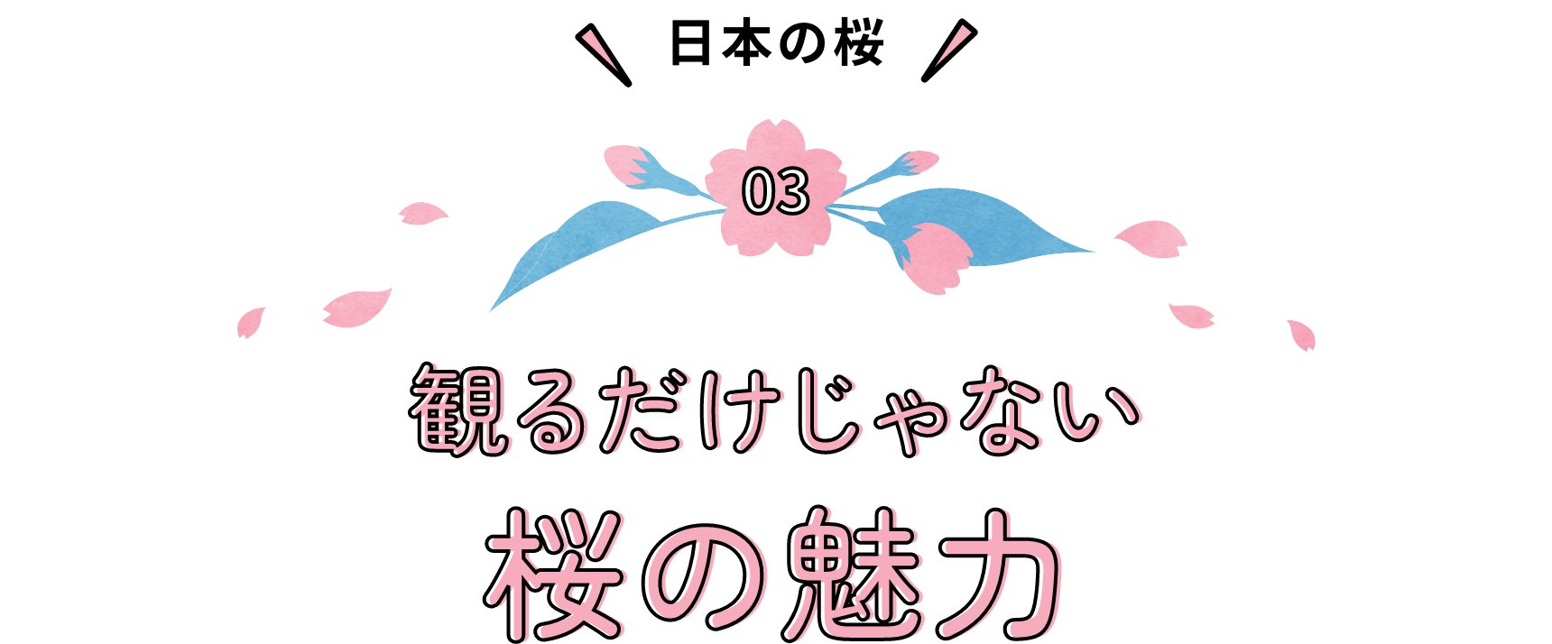日本の桜 観るだけじゃない桜の魅力