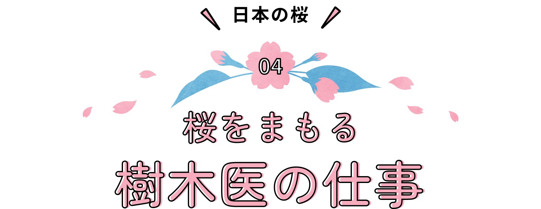 日本の桜 桜をまもる樹木医の仕事