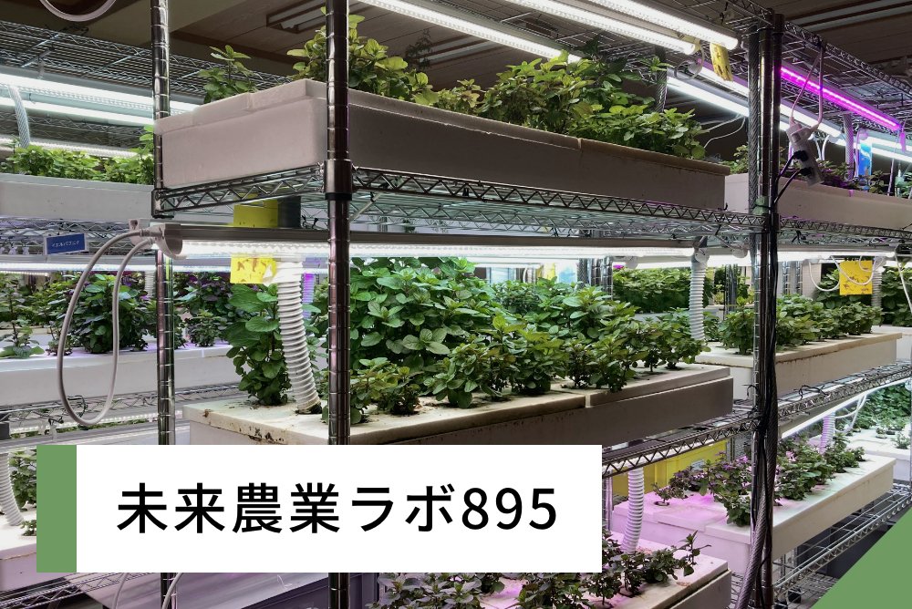 未来農業ラボ895