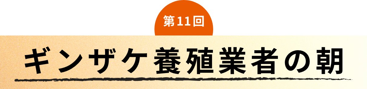 第11回 ギンザケ養殖業者の朝