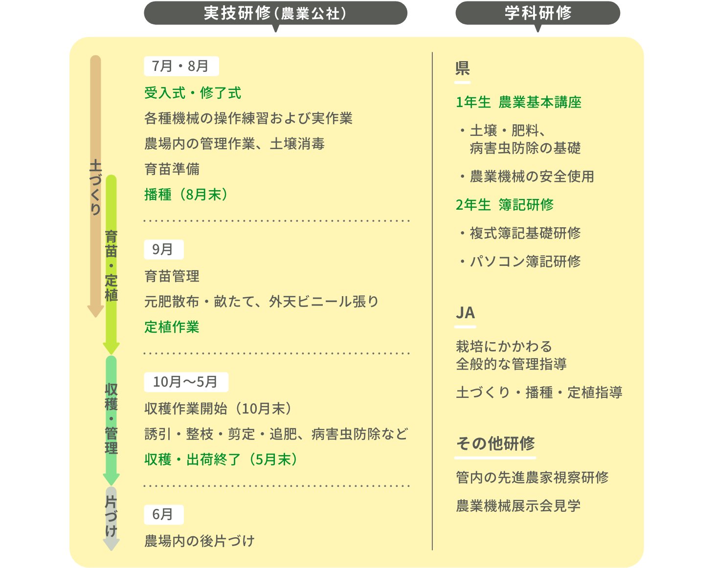 年間スケジュール